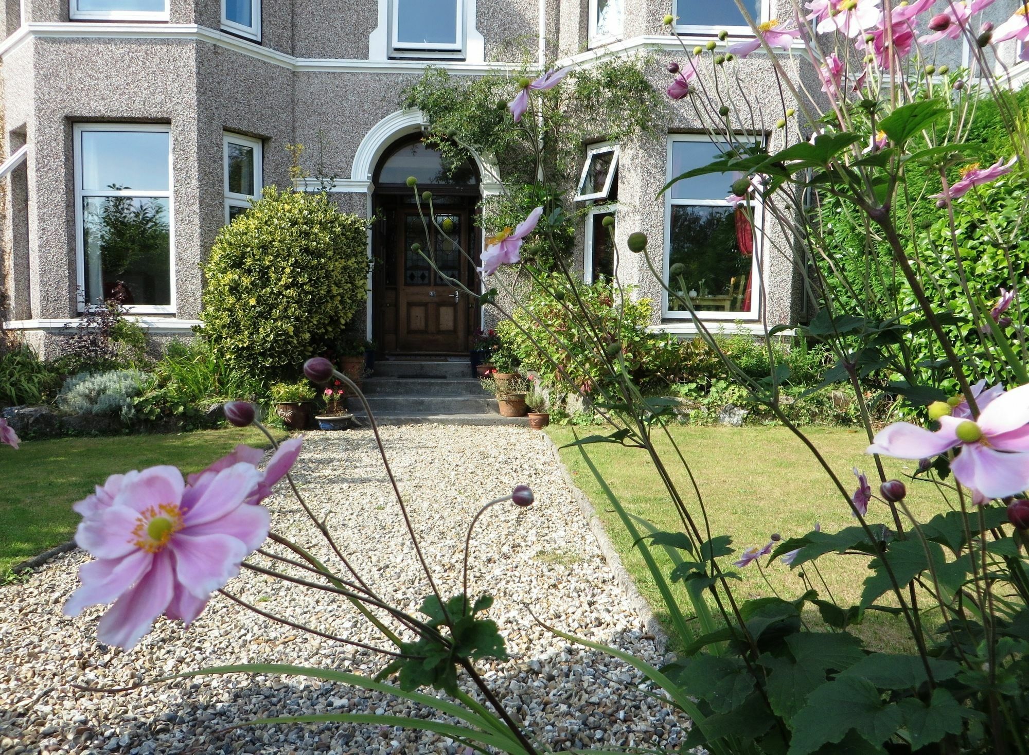 The Rosemont Otel Yelverton Dış mekan fotoğraf